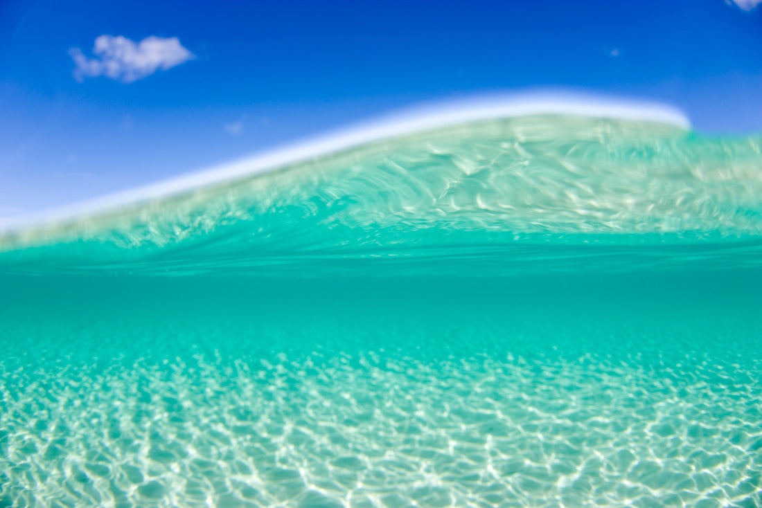 Australian Surfing Artist