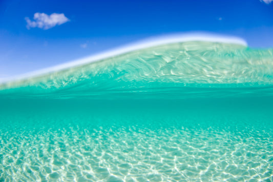 Australian Surfing Artist