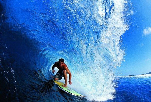 What is the World Surf League?