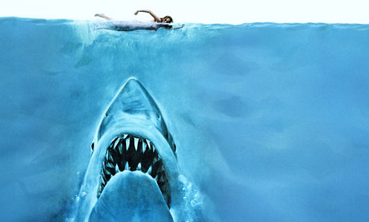 Why saying no to The Sharks is the best thing we ever did