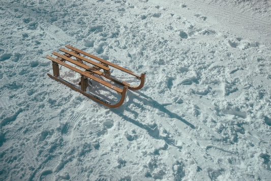 Sled Into Winter Fun: Branded Sleds for the Perfect Corporate Gift