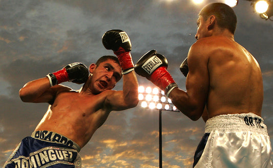 Boxing 101: What Boxing Gloves Do the Professionals Use?