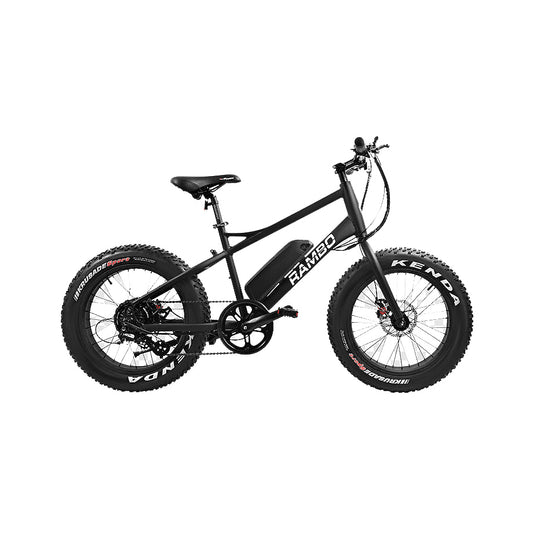 Electric Bicycle