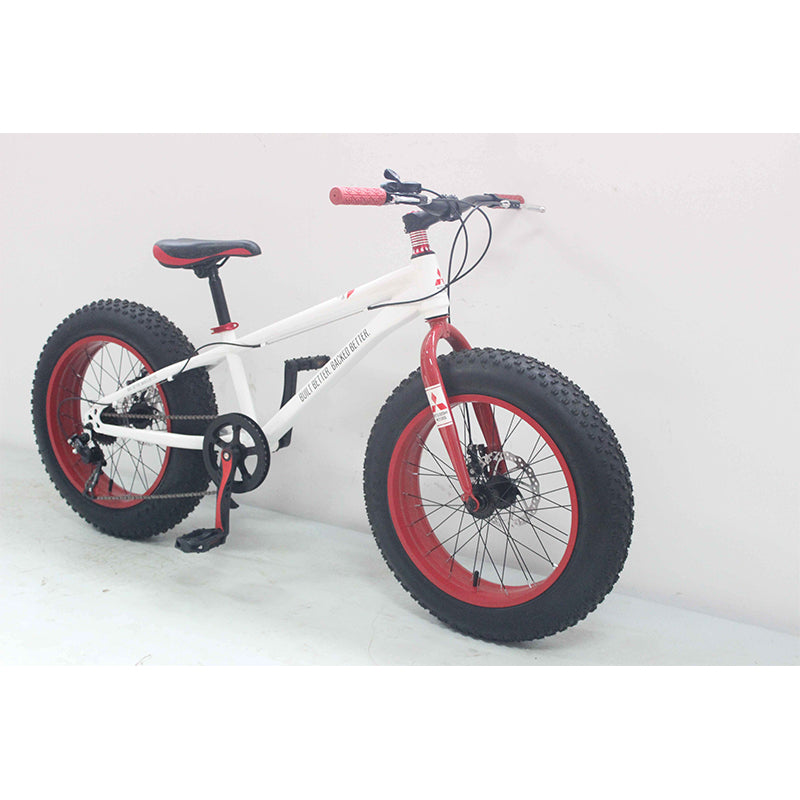 _0035_Fixie 3