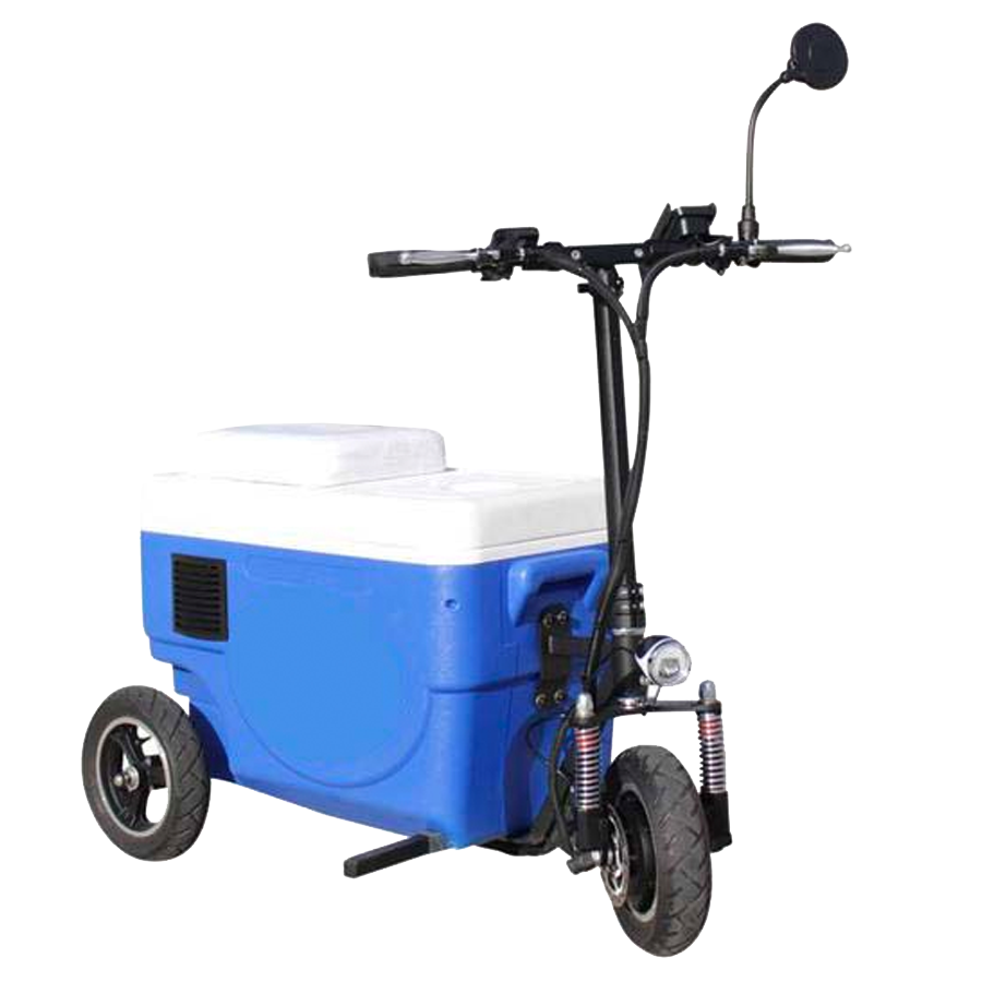 Custom Branded Ride On Cooler