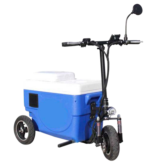 Custom Branded Ride On Cooler