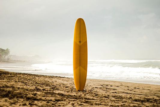 The Evolution Of Branded Merchandise: How Promotional Surfboards Are Redefining B2b Marketing