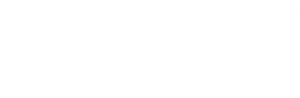 branded.disruptsports.com
